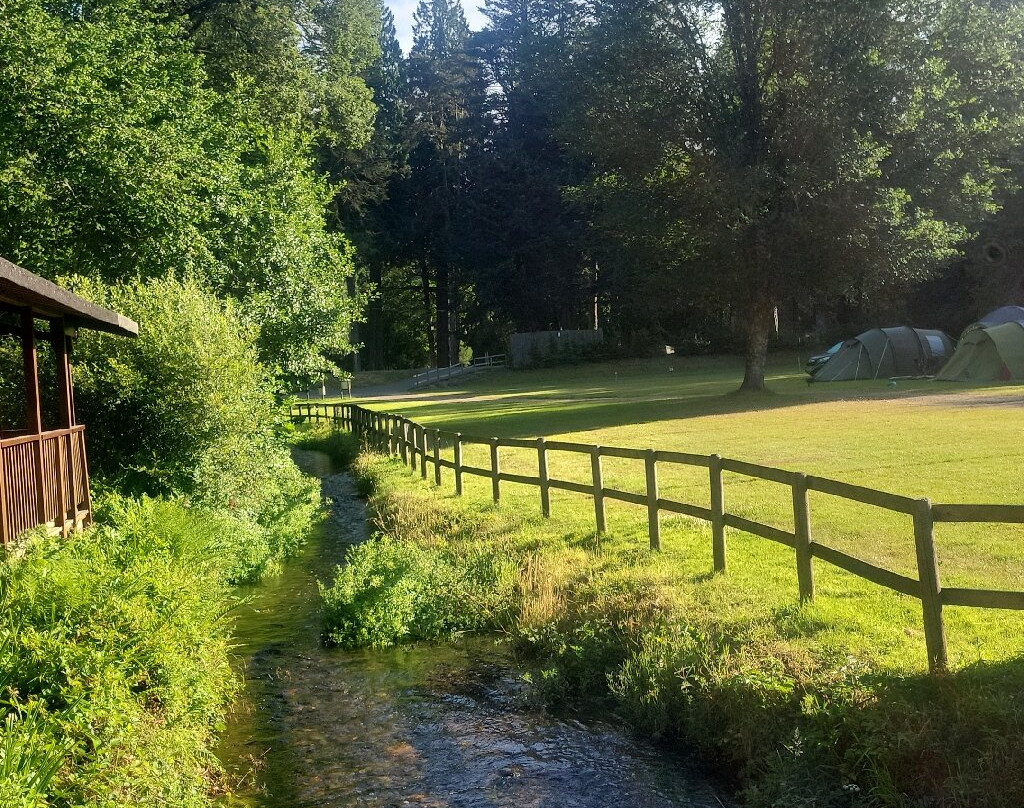River Dart Country Park-Ashburton必去景点