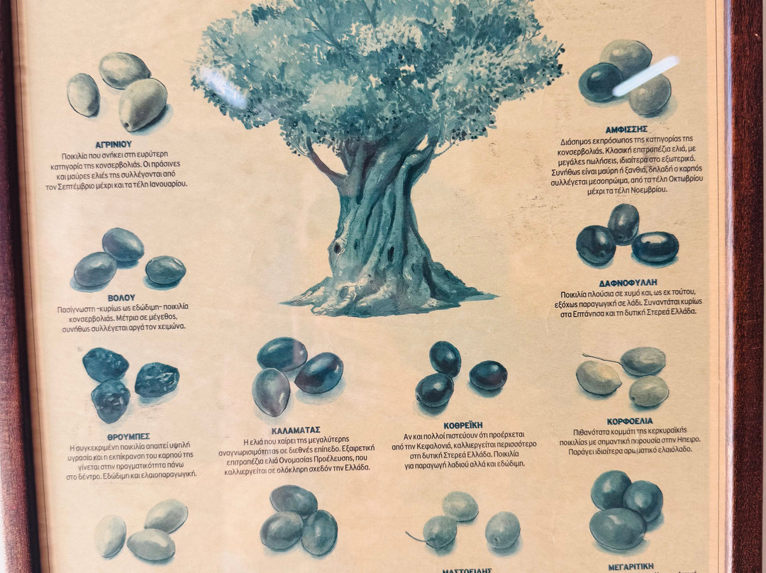 Markakis Olive Mill - Olive Oil-Chani Alexandrou必去景点