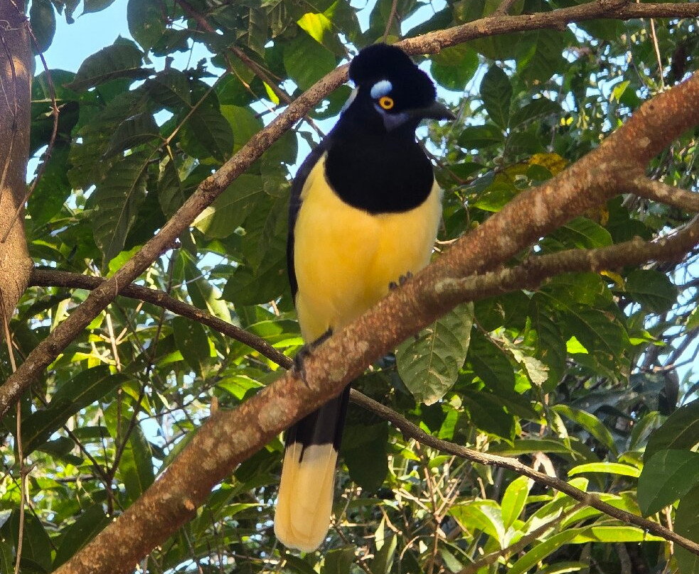 Cataratas del Iguazu - Lado Argentino-伊瓜苏港必去景点