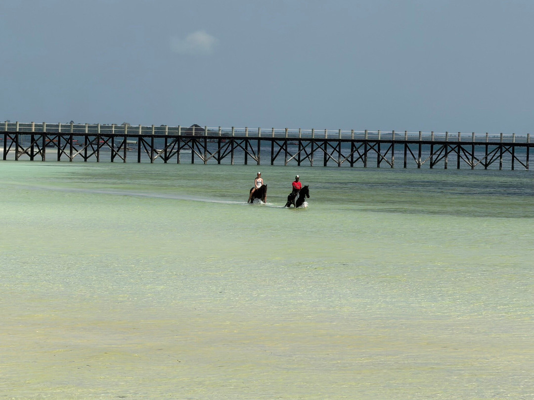 Royal Stable Zanzibar-米查维必去景点