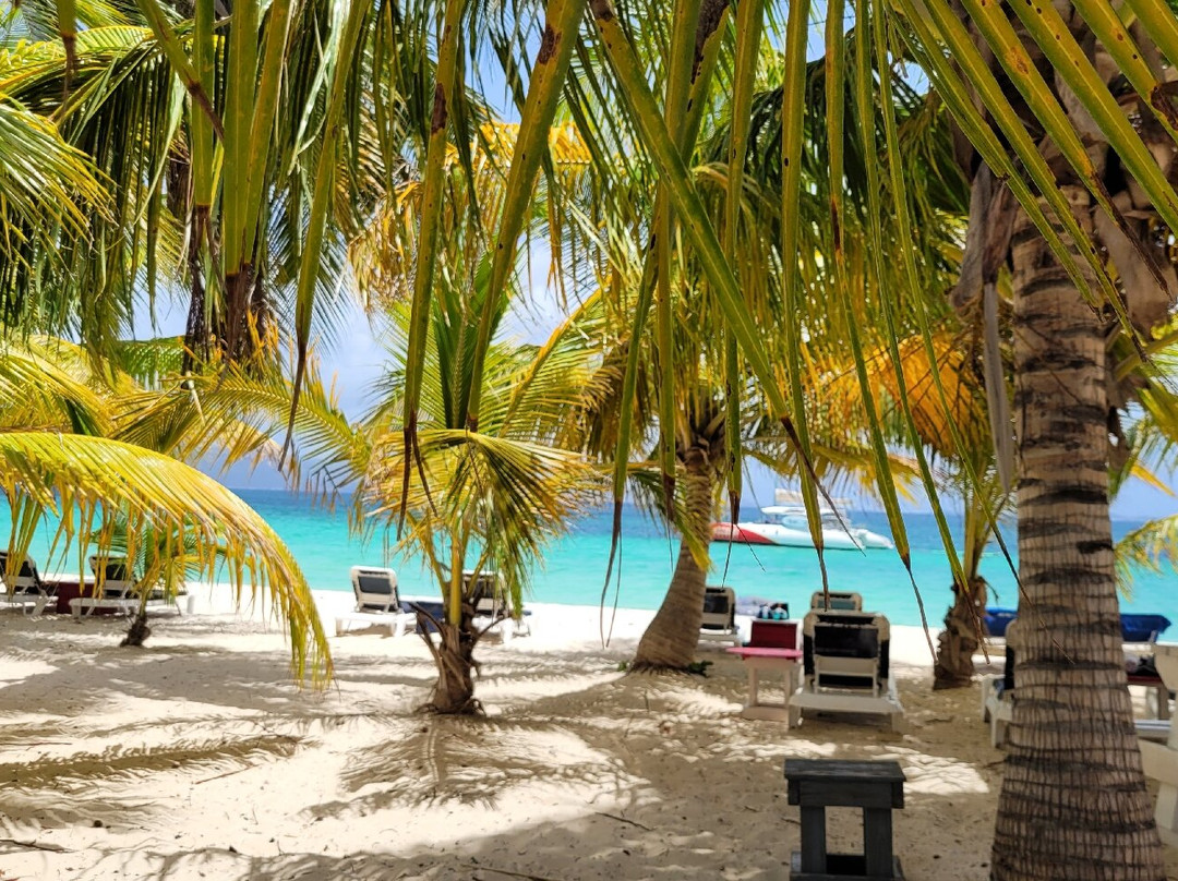 Scoobi Catamaran Charters-Anse Marcel必去景点