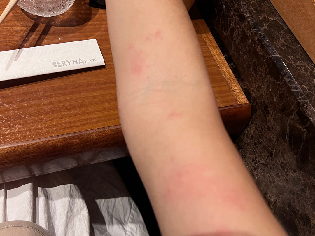 虹夕诺雅东京主图