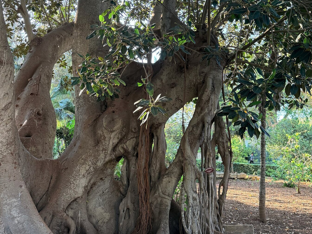 San Anton Gardens-Attard必去景点