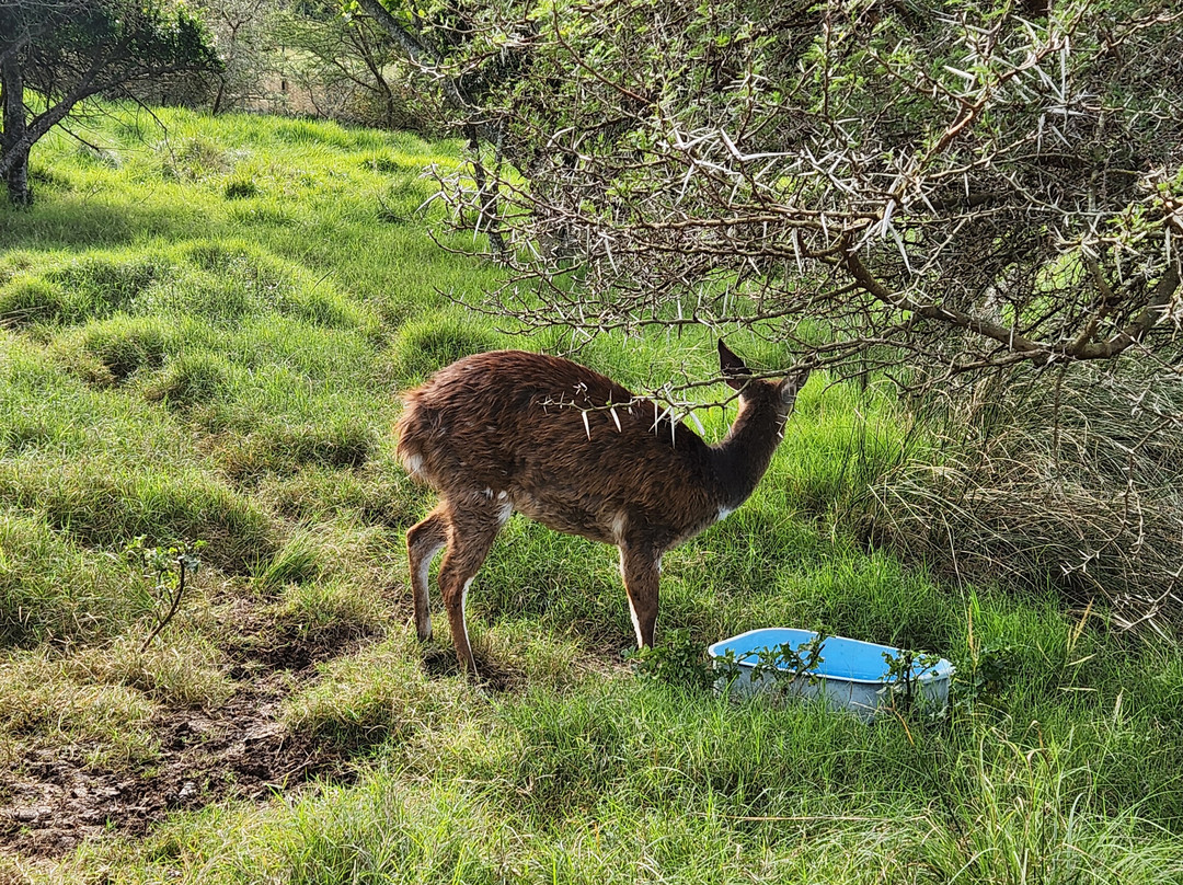 African Dawn Bird and Wildlife Sanctuary-Thornhill必去景点