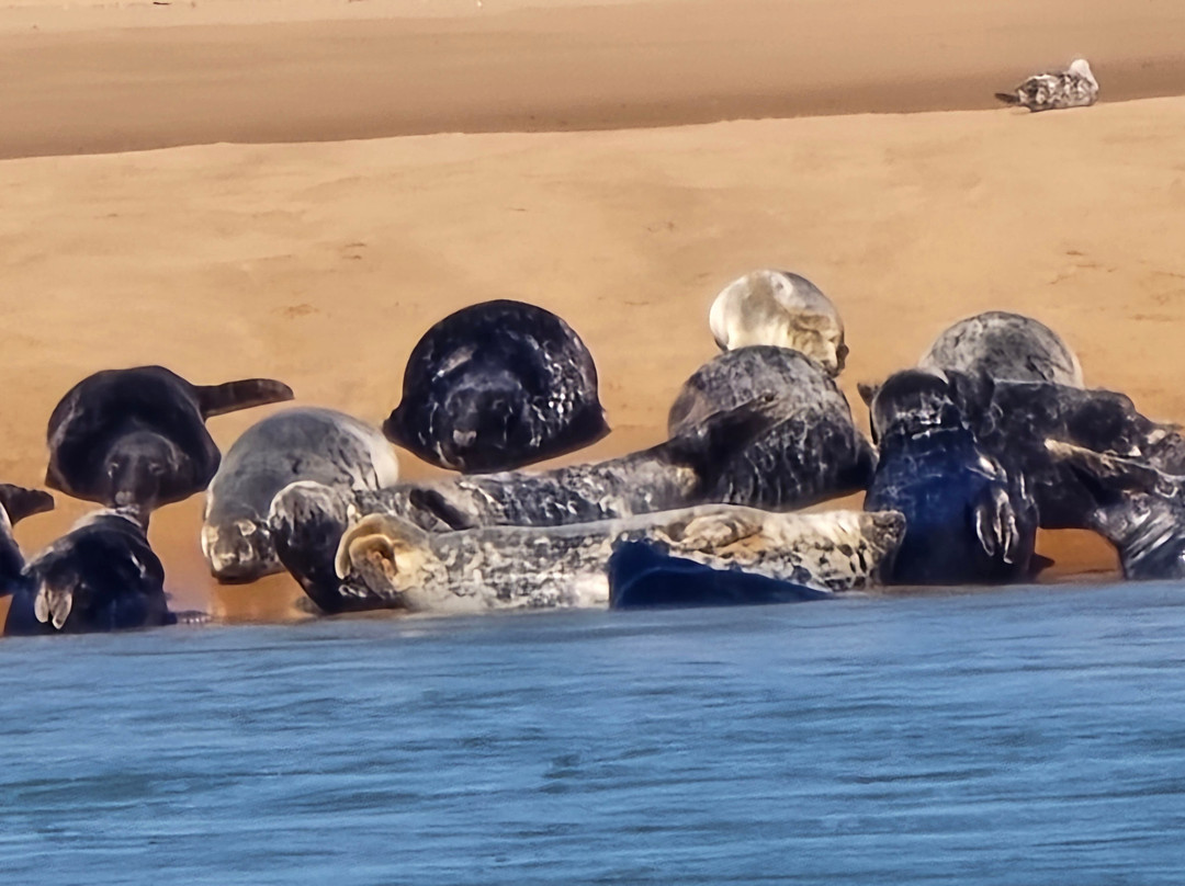 Newburgh Seals Beach-Newburgh必去景点