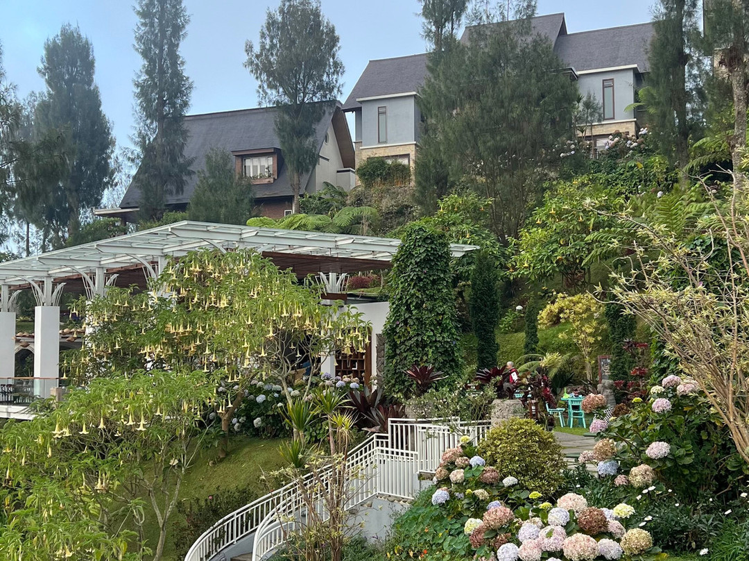 布罗莫普拉塔兰酒店主图