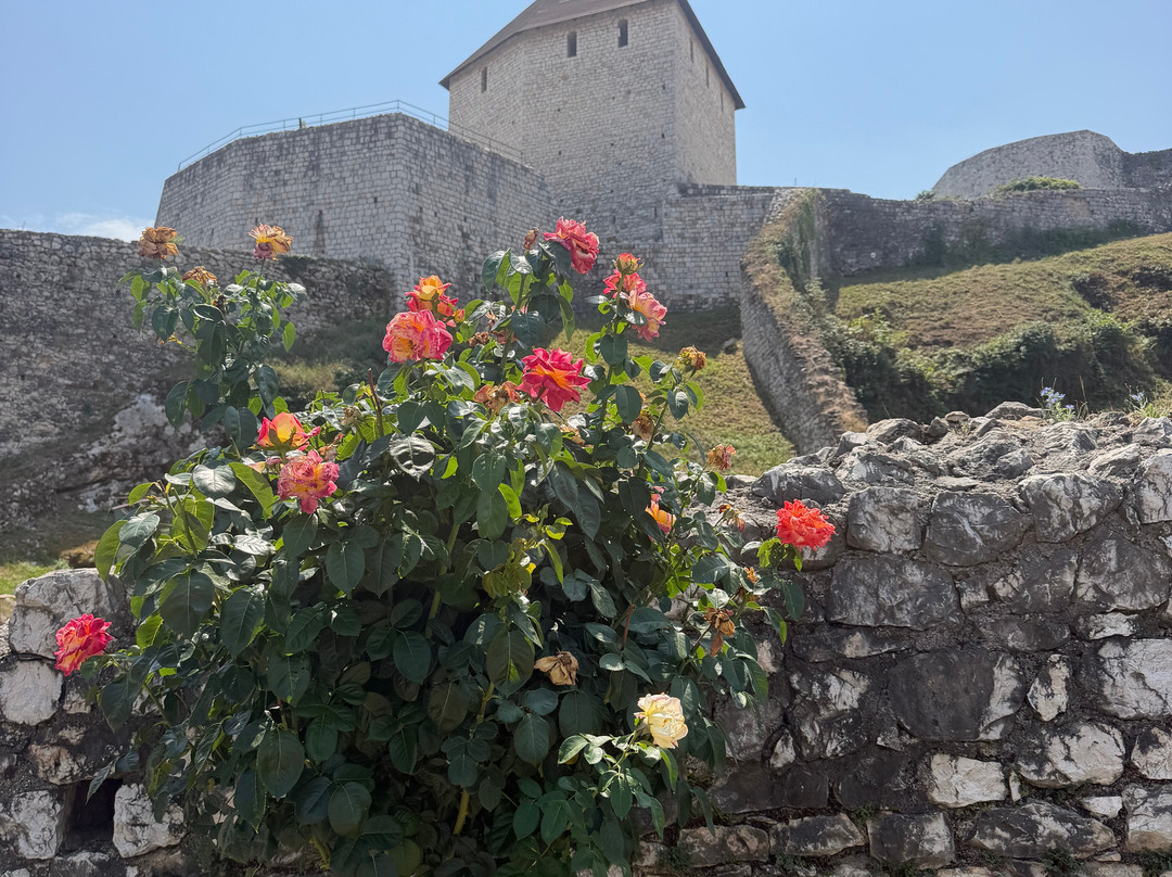 Tešanj Castle-Tesanj必去景点