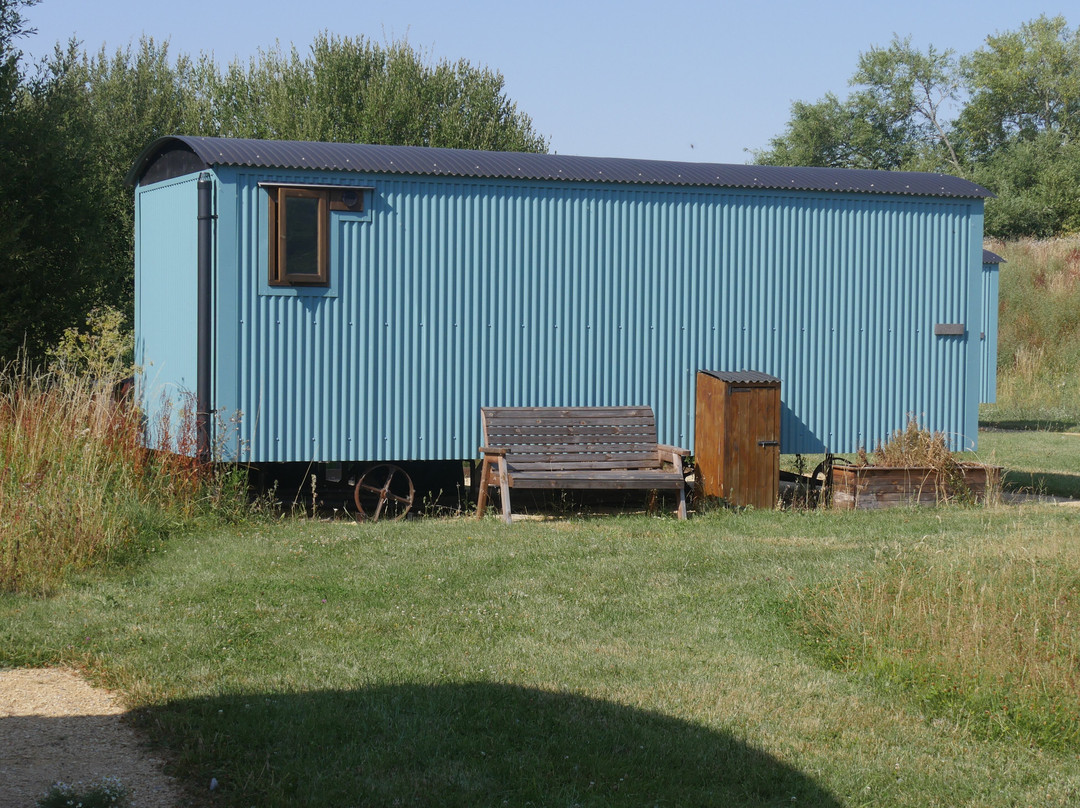 WWT Slimbridge Wetland Centre-Slimbridge必去景点