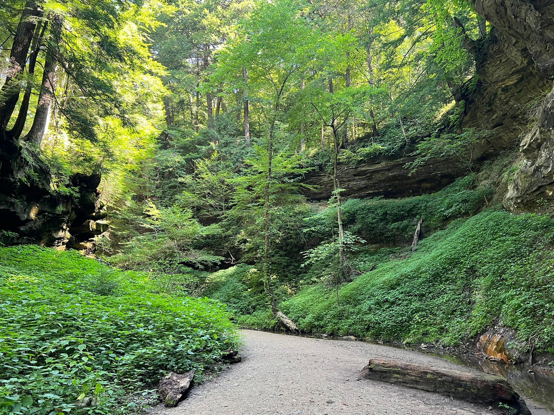 Turkey Run State Park-Marshall必去景点