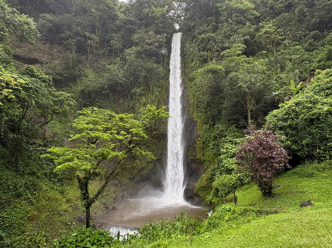 Manakin Waterfalls Nature Reserve.-Tilaran必去景点