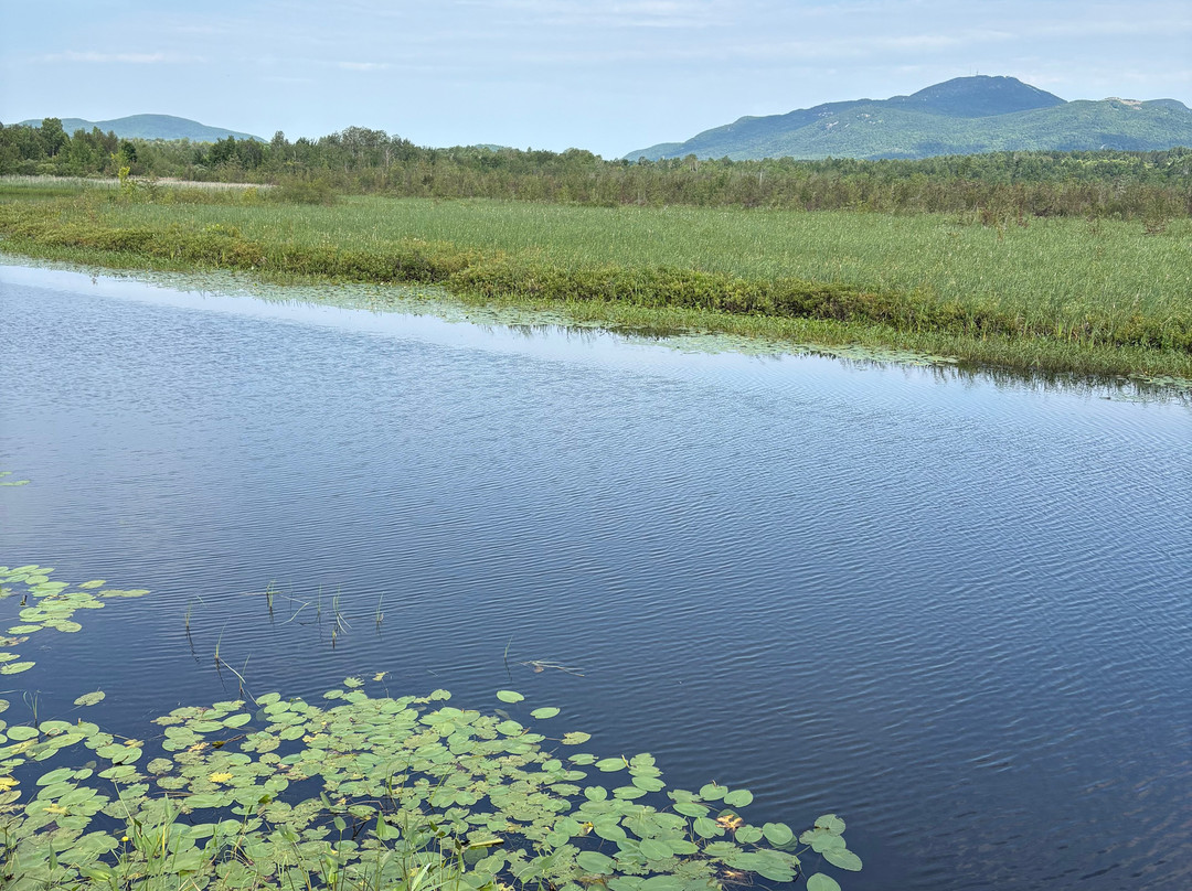 Marais de la Riviere aux Cerises-梅戈格必去景点