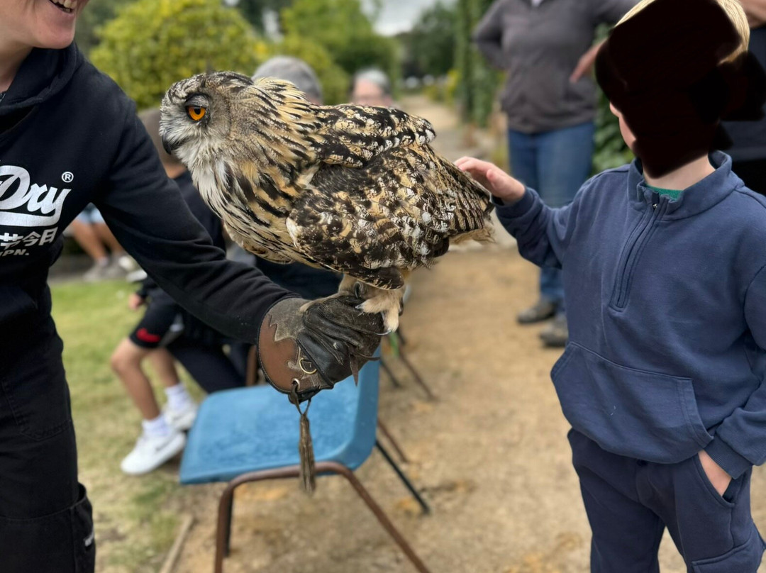 Andy Howeys Birds of Prey Centre-特威德河畔贝里克必去景点