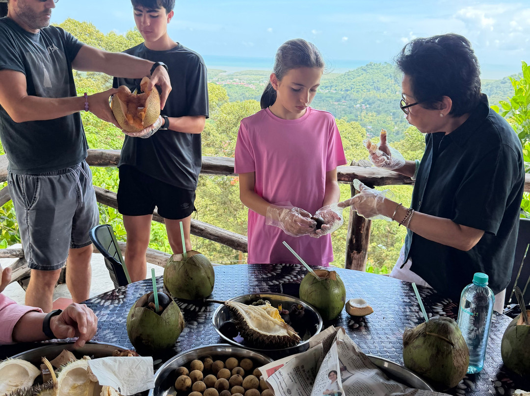 Durian Tree House-浮罗山背必去景点