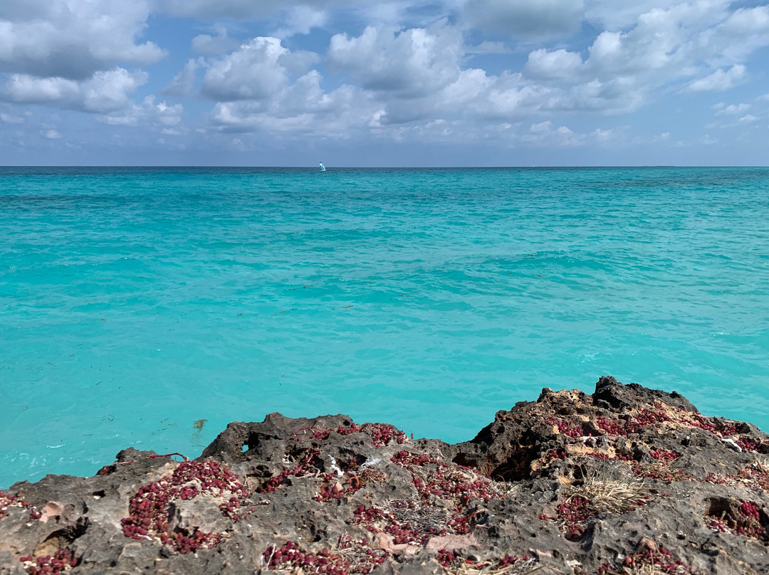 Varadero Beach-巴拉德罗必去景点