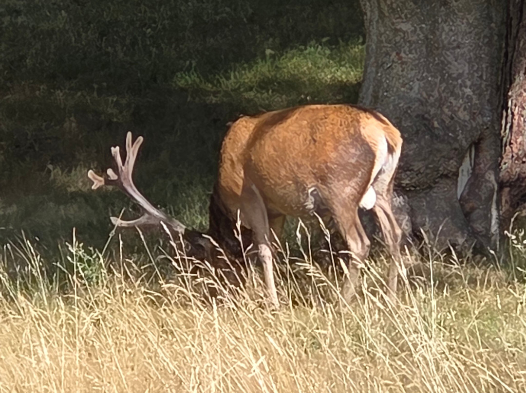 Tatton Park-纳茨福德必去景点