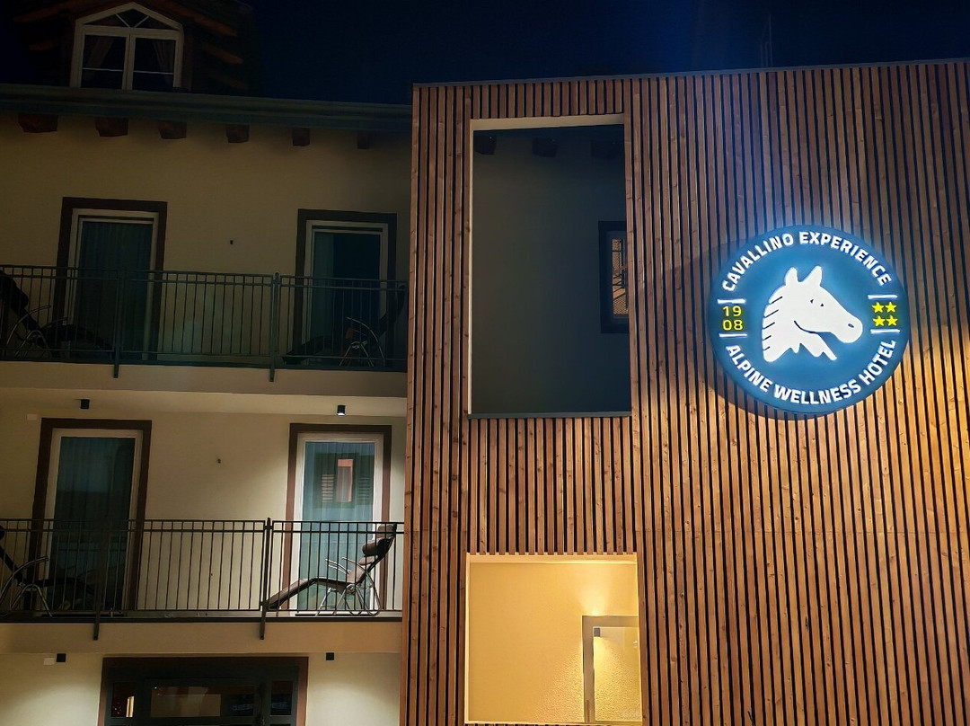 艾尔伯格卡瓦利诺比安科酒店主图