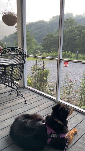 Morning Glory Inn-旅行者