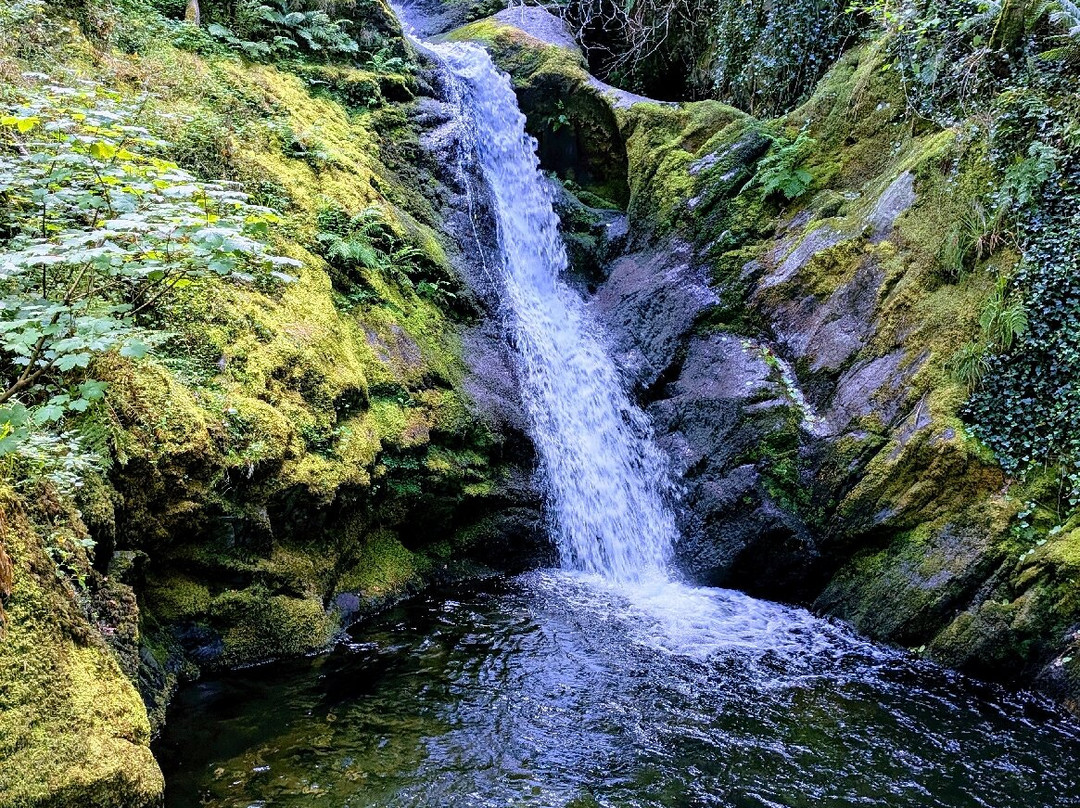Dolgoch Falls-雪墩国家公园必去景点