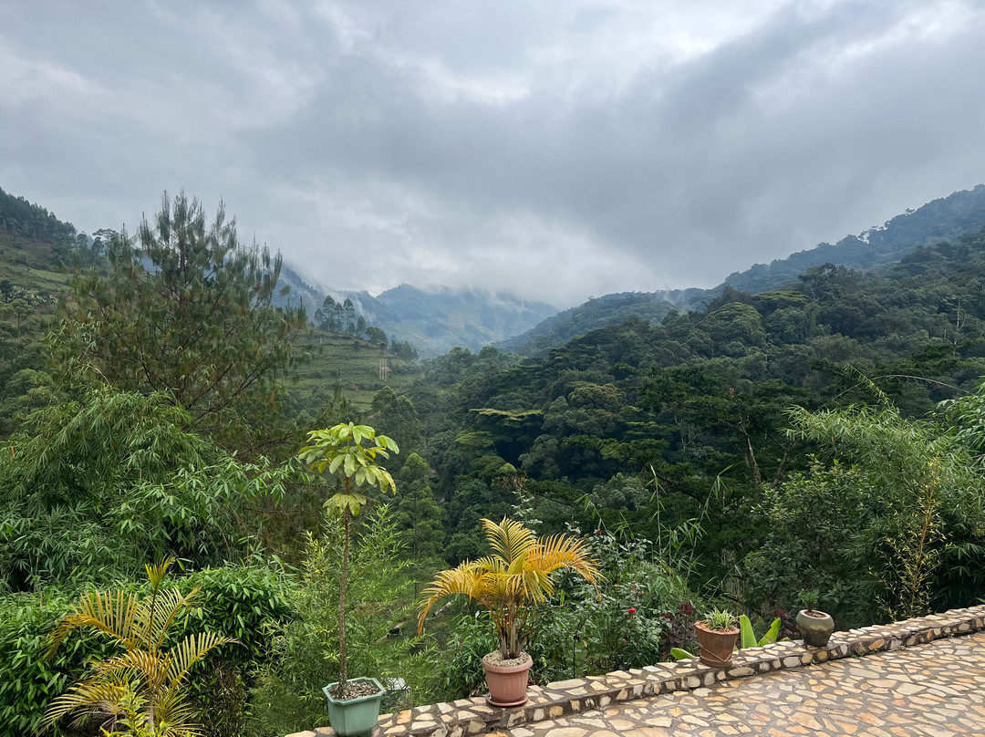 Bweza Gorilla Lodge