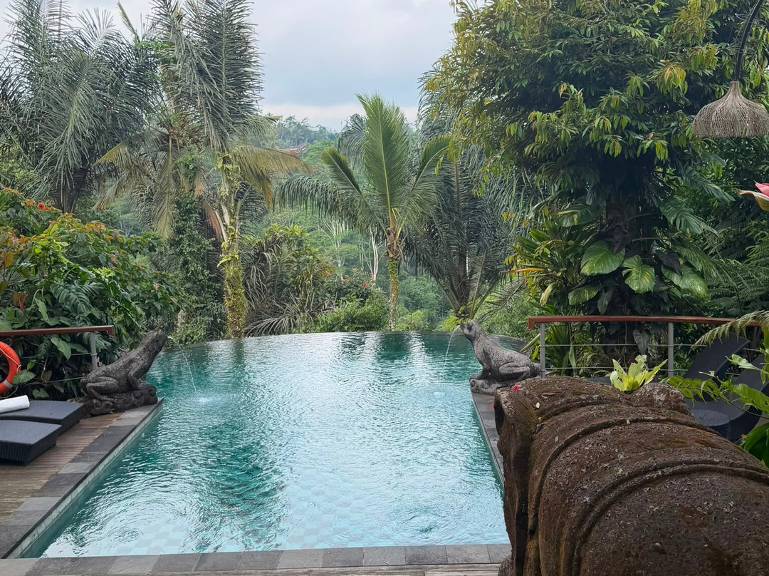 Kayoo Jungle Lounge