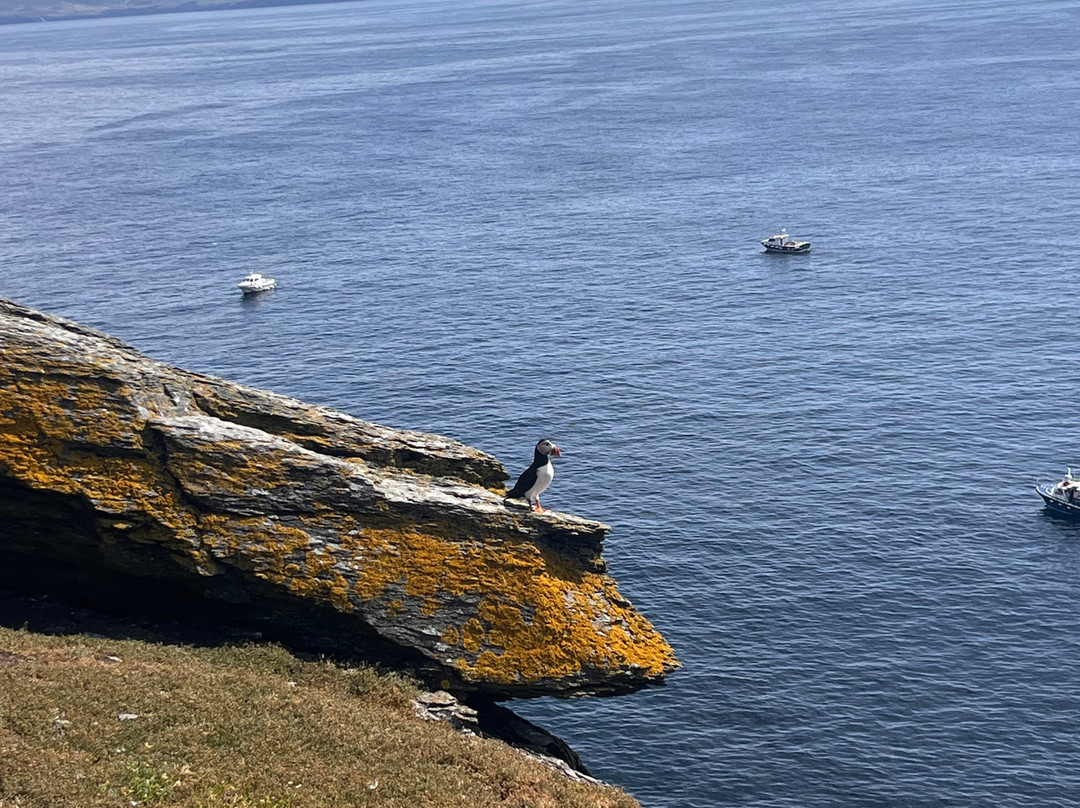 Skellig Coast Adventures-Portmagee必去景点