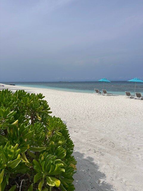 Cora Cora Maldives-泳池