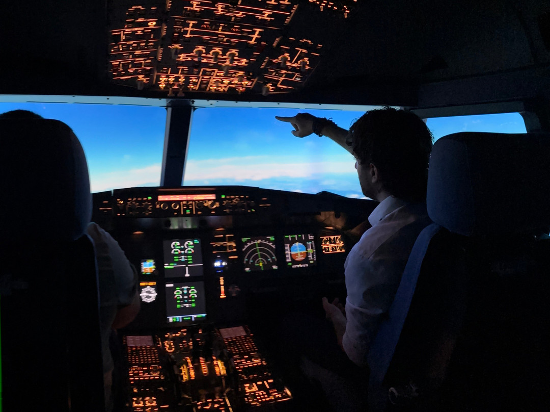 Dastyflysim - Professional Flight Simulator-Bagnatica必去景点