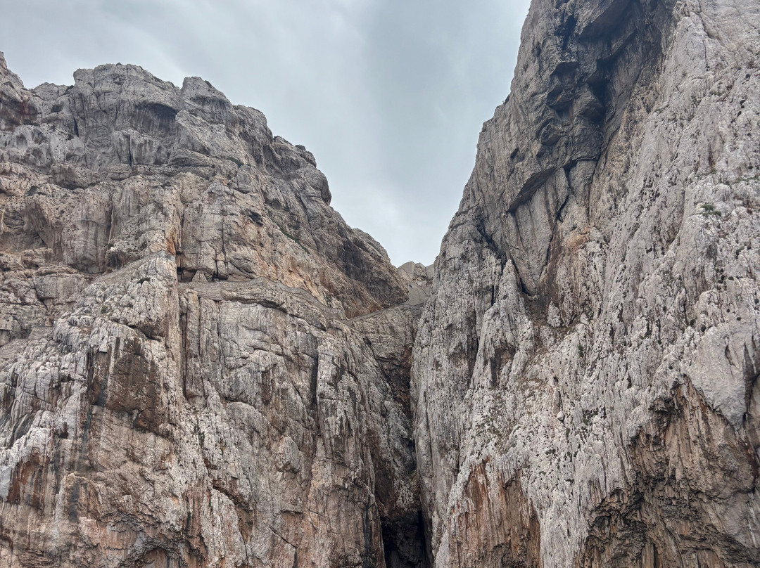 Escursioni Alghero Asinara-阿尔盖罗必去景点