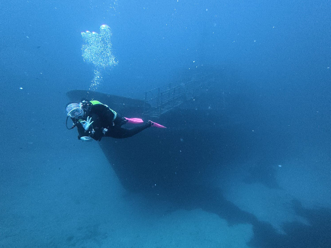 Paradise Diving Malta-史克华必去景点