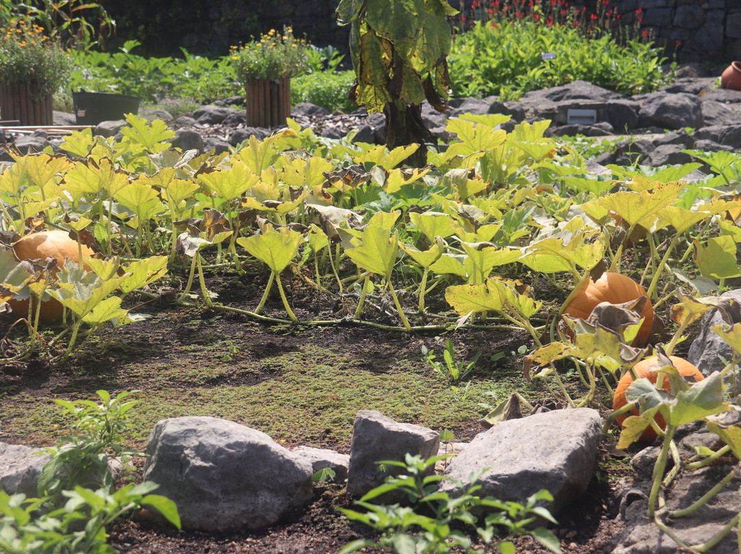 Jardin Botanico Atlantico-希洪必去景点
