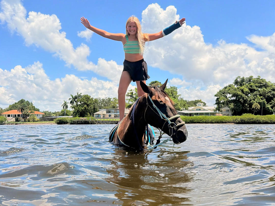 Florida Beach Horses-布雷登顿必去景点