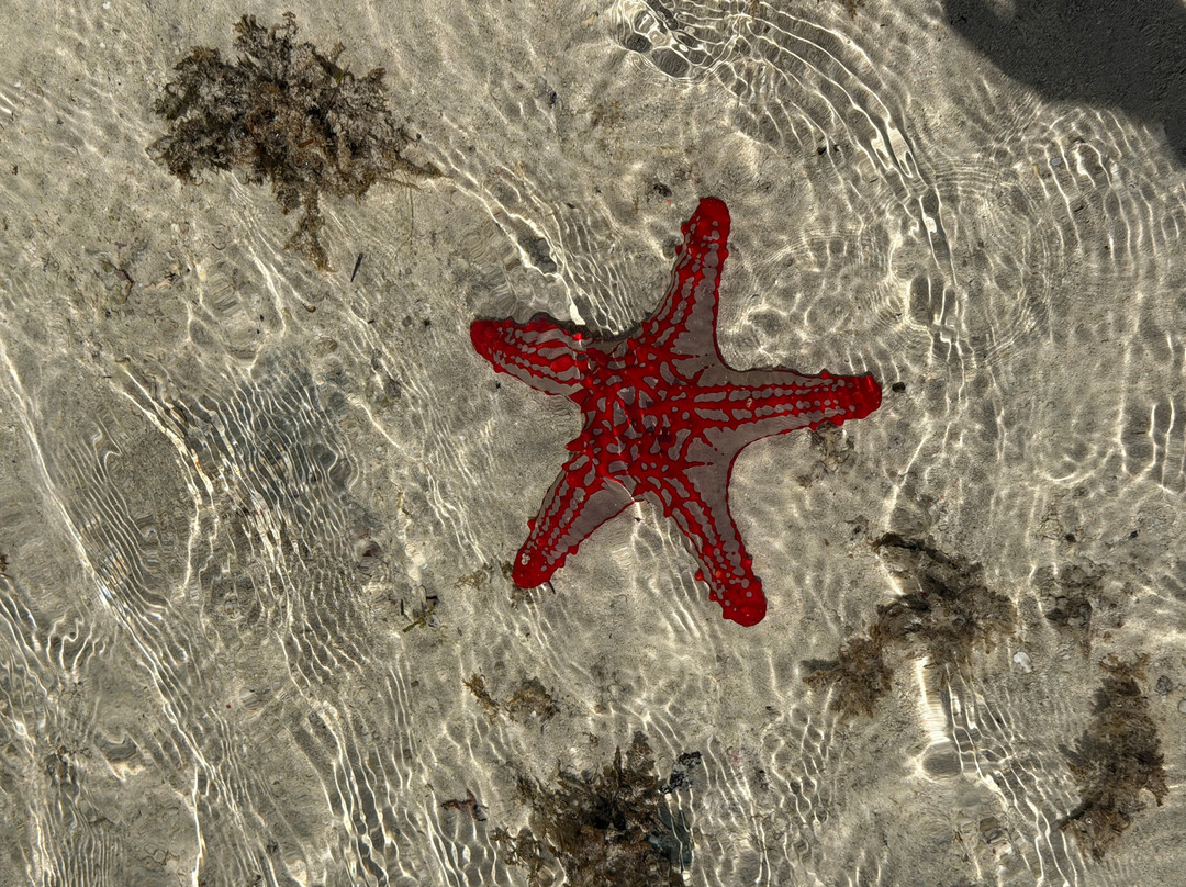 礁石海滩度假村主图