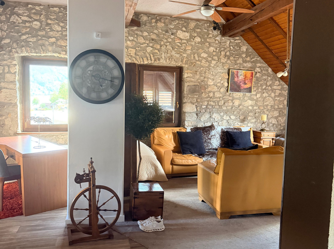 Hotel de la Truite & Spa le Petit Nautilus主图