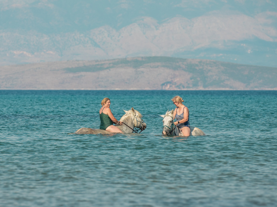 North Corfu Horses-Peritheia必去景点