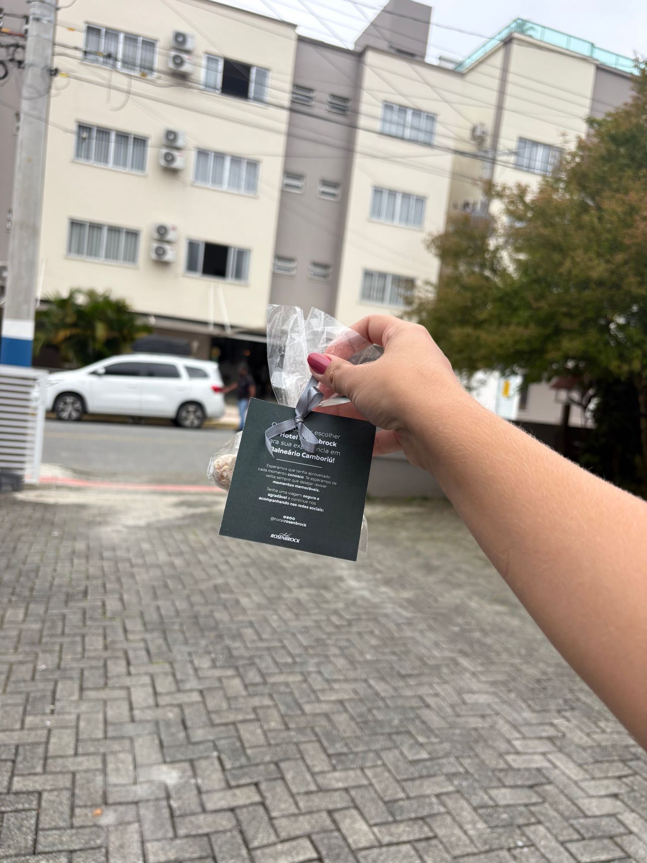 罗孙布洛克酒店-旅行者