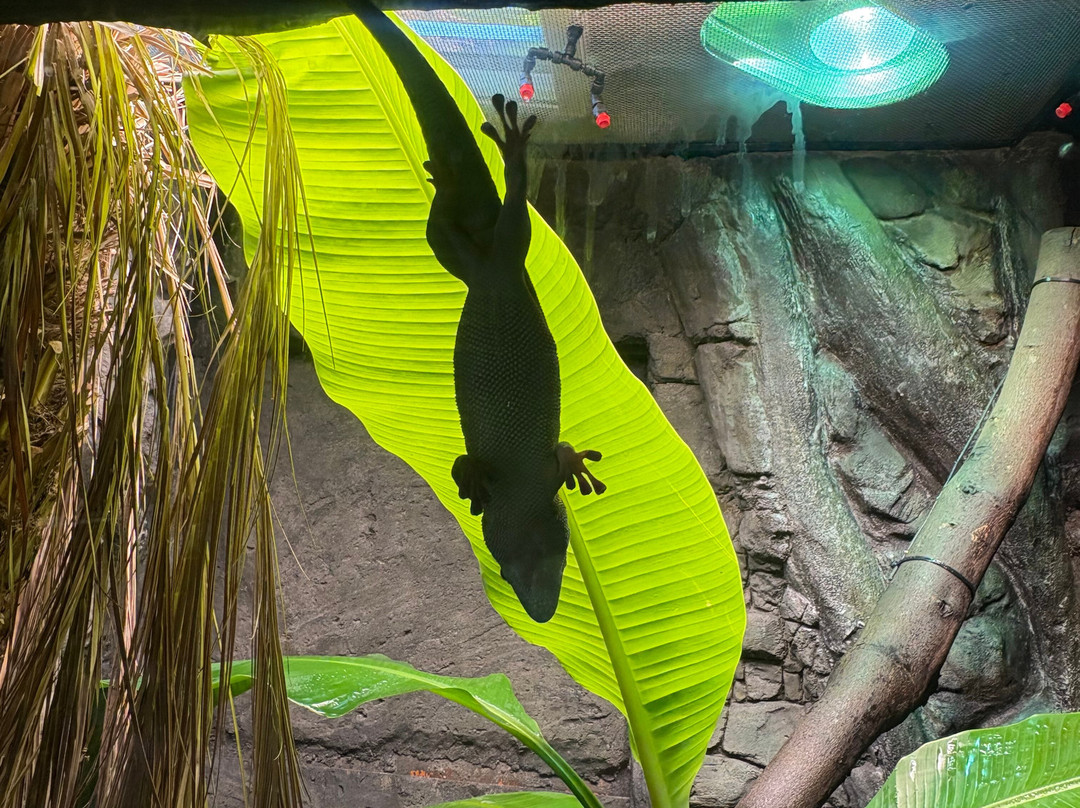 Stratford Butterfly Farm-埃文河畔斯特拉特福必去景点
