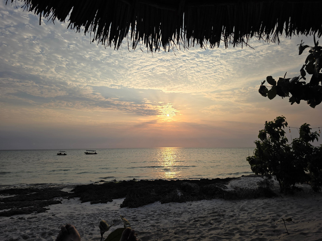 Afro Divers, Diving Center and Lodge-奔巴岛必去景点