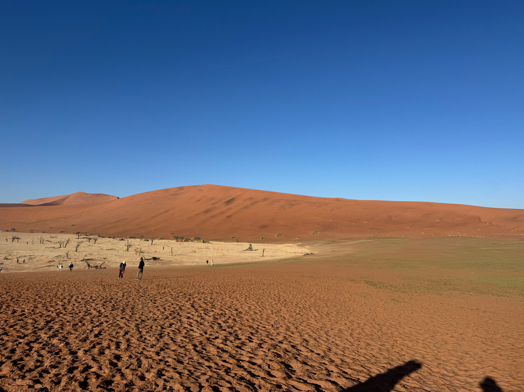 Deadvlei-苏丝斯黎必去景点