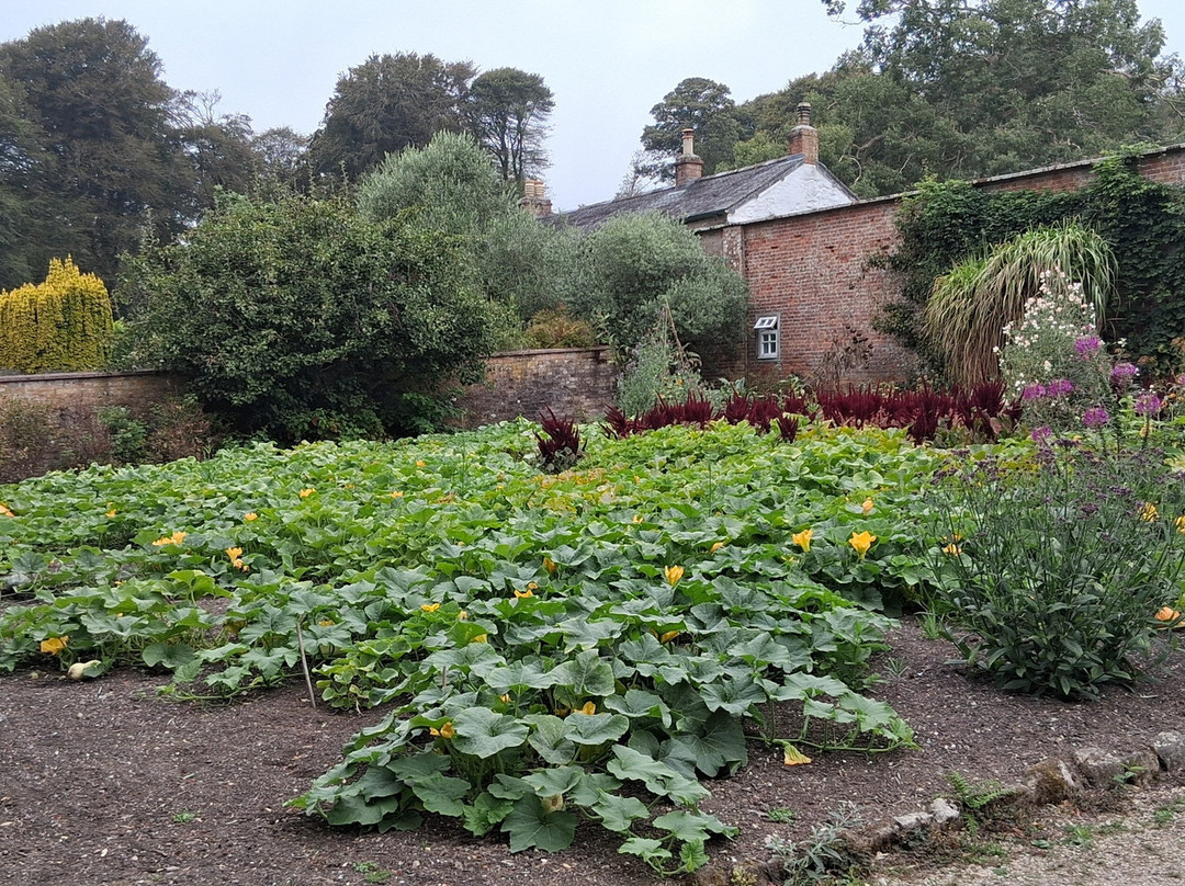 Trengwainton Garden-彭赞斯必去景点