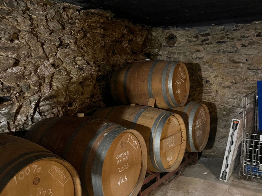 Celler Devinssi-Gratallops必去景点