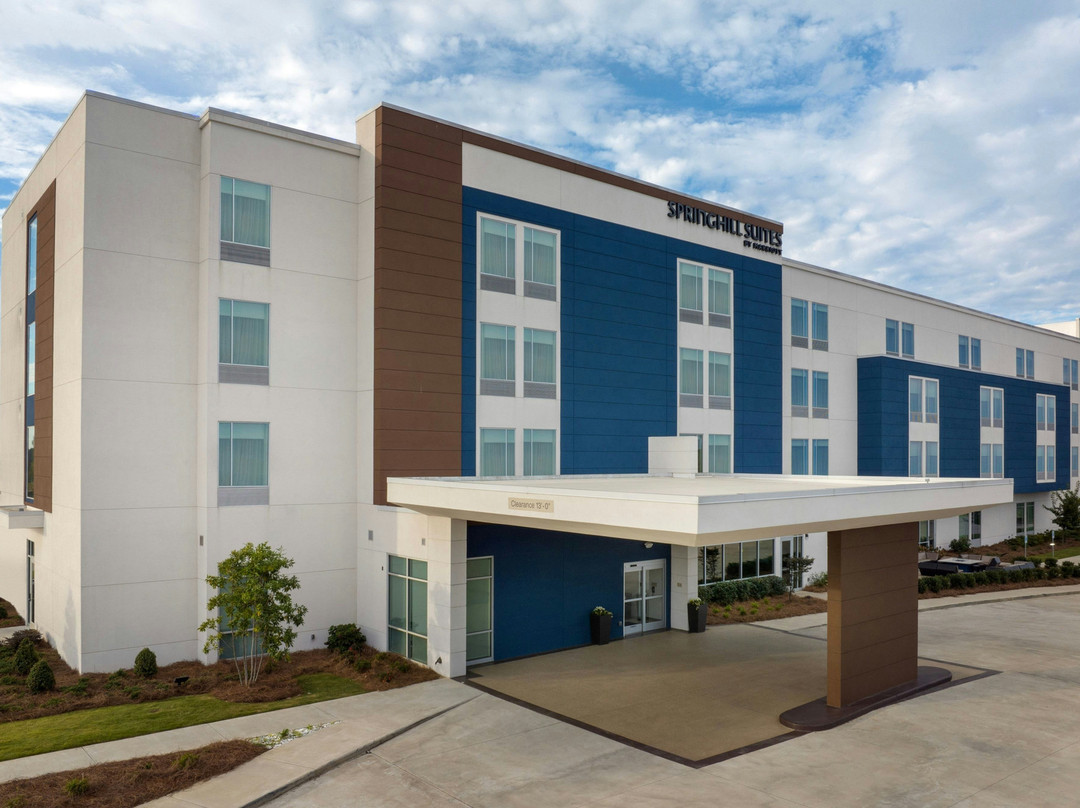 Mount Olive酒店住宿-SpringHill Suites by Marriott Birmingham Gardendale