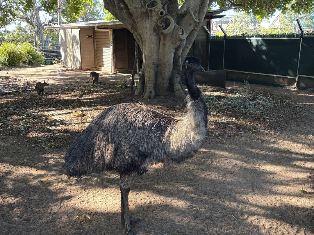Alexandra Park Zoo-邦德堡必去景点