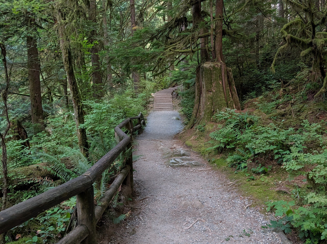 Capilano River Regional Park-北温哥华必去景点