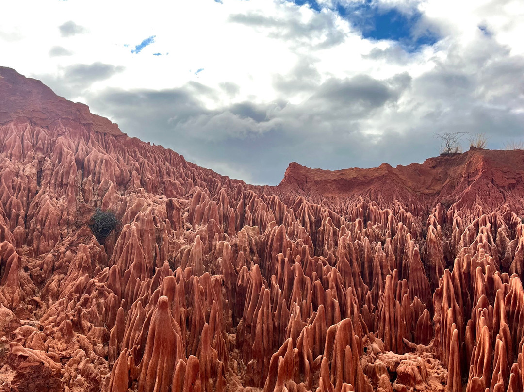 Madagascar Tour Severino-Dzamandzar必去景点