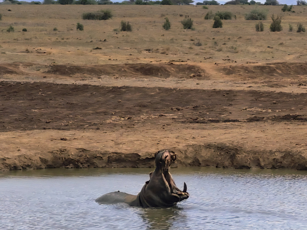 Top Africa Safaris-迪亚尼必去景点