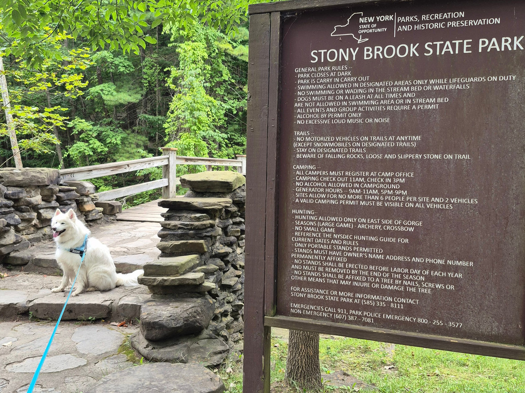 Stony Brook State Park-Dansville必去景点