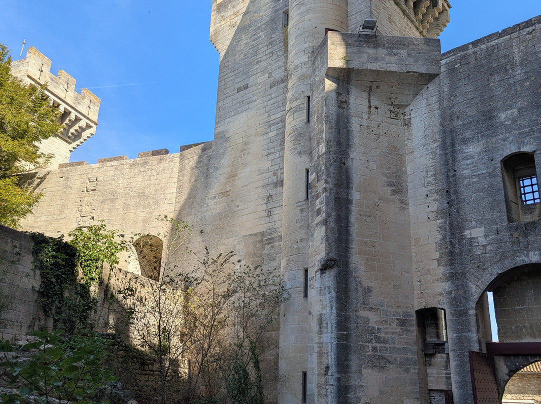 Chateau de Tarascon-塔拉斯孔必去景点
