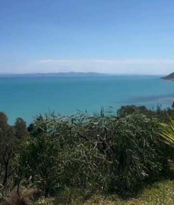 突尼斯迦太基黄金酒店-旅行者