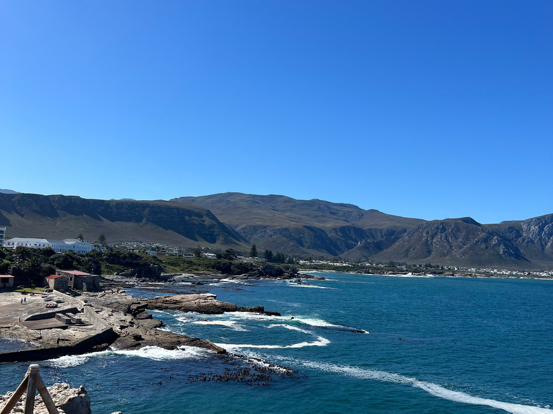 Escape to the Cape Sightseeing Tours-Rondebosch必去景点