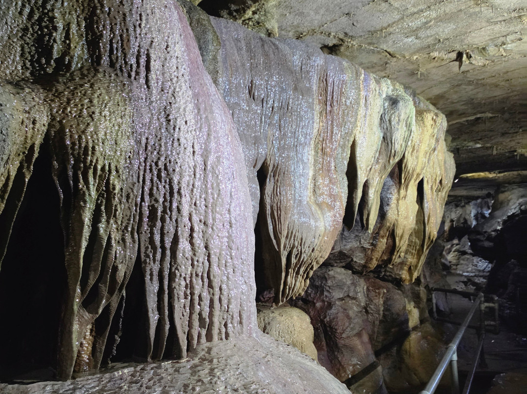 Ingleborough Cave-Clapham必去景点